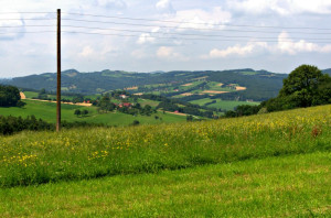 wpid-wp-1405278744820.jpeg