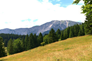 wpid-wp-1405448504968.jpeg